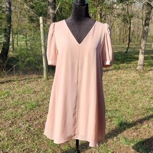Adrienne Blush V-Neck Mini Dress